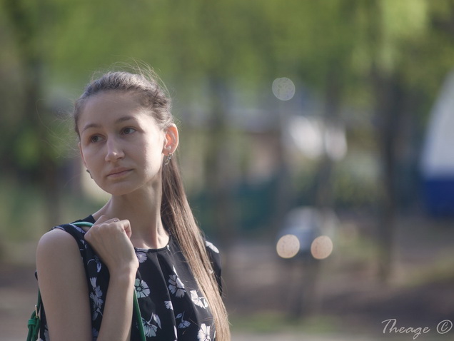MC APO Telezenitar-M 135/2.8.